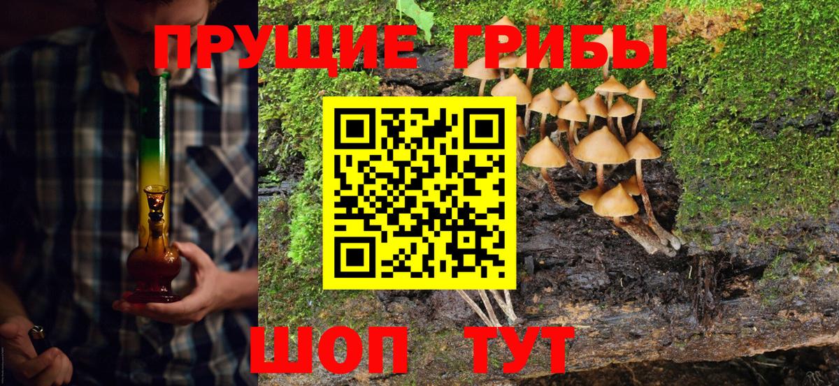 Галлюциногенные грибы прущие грибы  Вход с VPN  закладка  Артём 